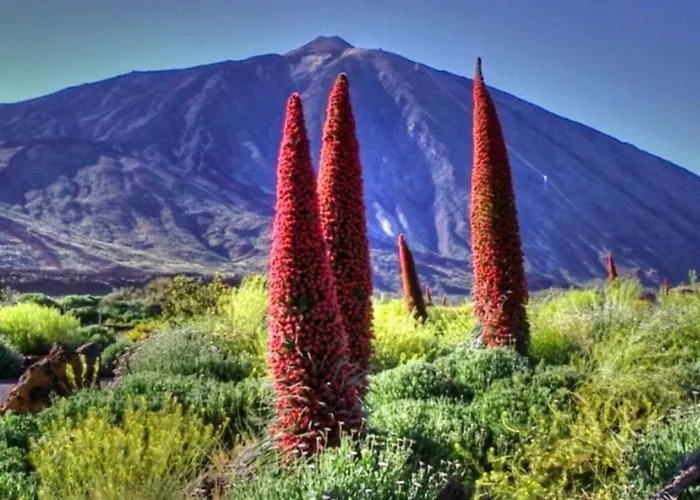 Apartamento New Turquesa Centro Sta Cruz, Wifi&gym