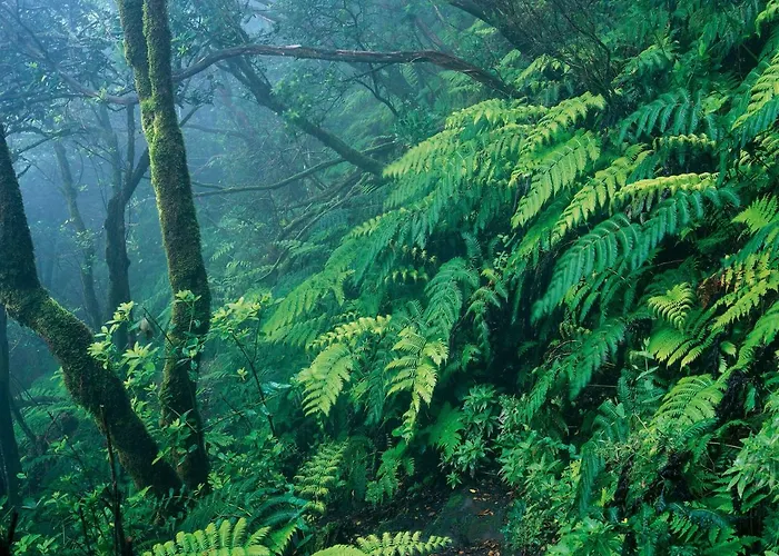 New Turquesa Centro Sta Cruz, Wifi&gym